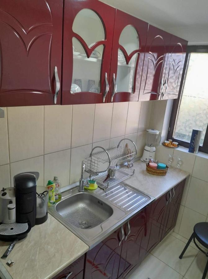 Apartmán Stan Na Dan Gornji Milanovac-Centar-Nova Gradnja Exteriér fotografie